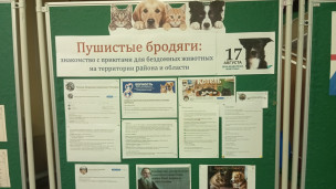 День, когда нельзя пройти мимо 1