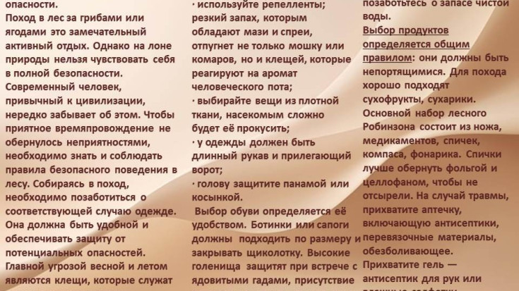 Весёлое лето – безопасное лето 3